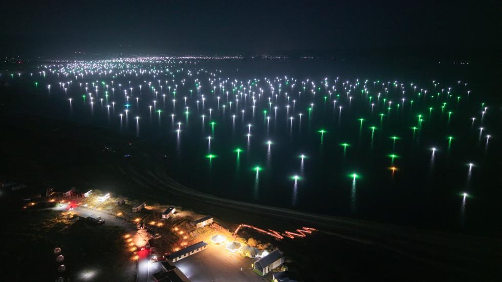 龍羊峽畔的高原“漁光曲”